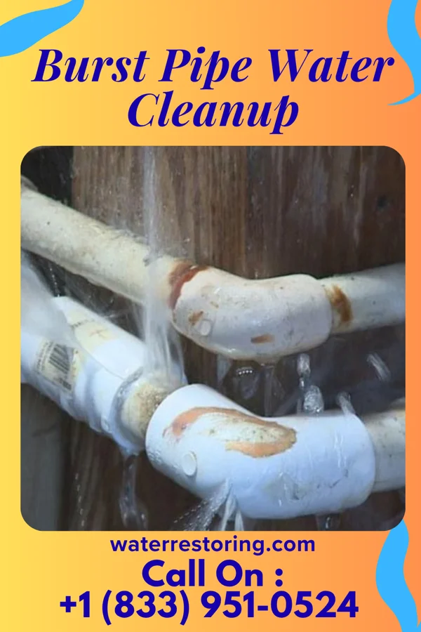 Burst Pipe Water Cleanup in Boaz, AL