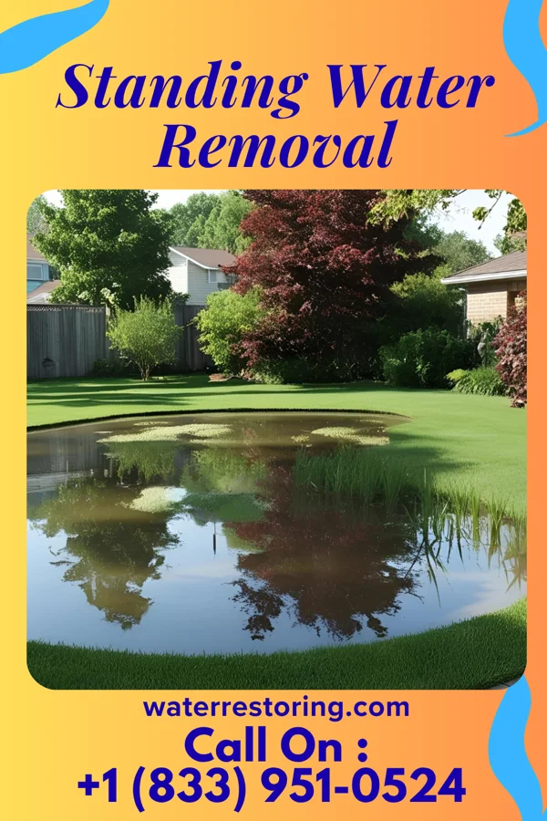 Standing Water Removal in Boaz, AL